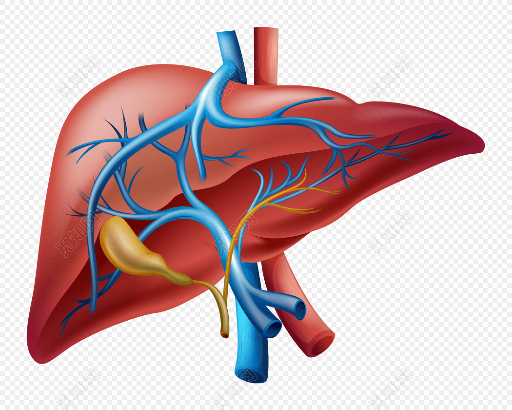 银屑病患者脸色差是肝不好吗