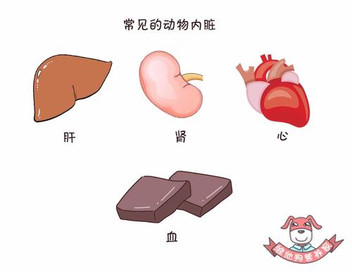患牛皮癣吃动物内脏