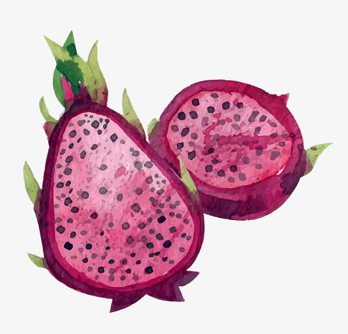 火龙果有啥营养价值