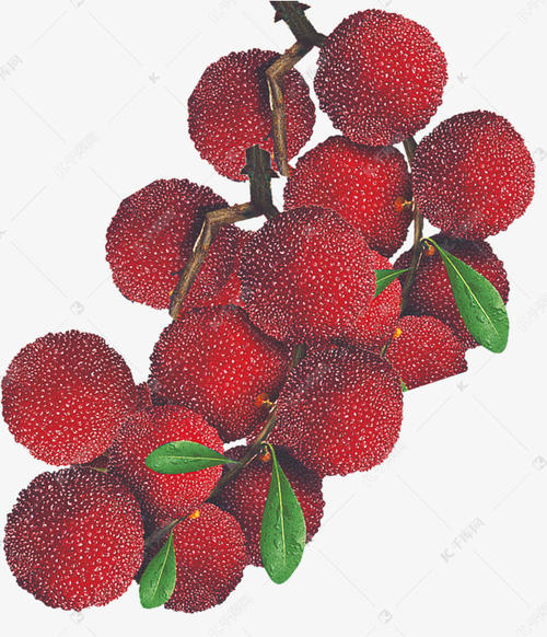 银屑病患者可以吃杨梅吗