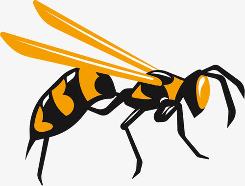 被马蜂蜇了怎么办